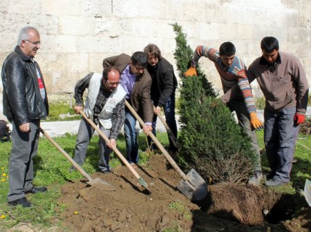 Edirne'deki tarihi camileri porsuk ve şimşir ağaçları süsleyecek