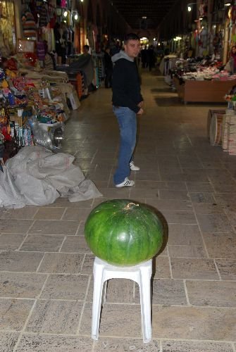 Edirneli Çiftçi, 44 İle 56 Kilogram Ağırlığında Karpuz Yetiştirdi