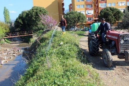 Edremit Belediyesi haşere mücadelesi başlattı