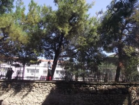 Edremit Körfezi'nde Çıkan Yangınlar Gülükle Kontrol Edildi