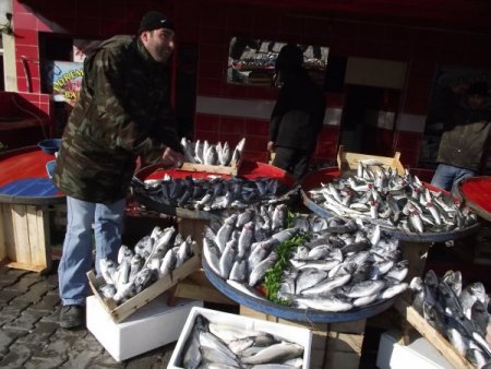 Edremit Körfezi'nde Çipura Bereketi Yaşanıyor