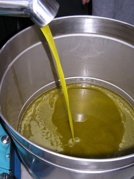 Edremit Körfezi'nde ilk hasat zeytinyağı sıkımı yapıldı