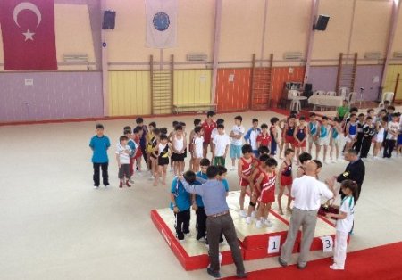 Edremit Özcan Koleji jimnastikte Türkiye şampiyonu oldu