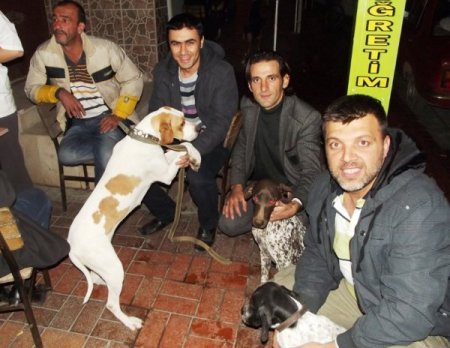 Edremit'te av köpekleri aşılandı