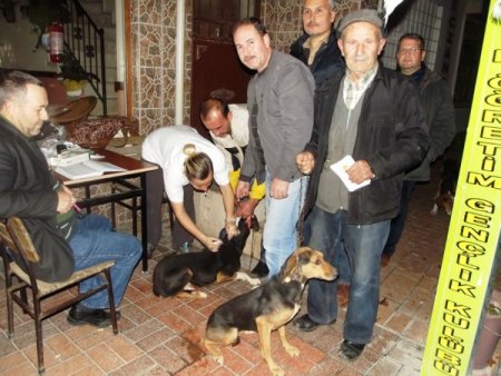 Edremit'te av köpekleri aşılandı