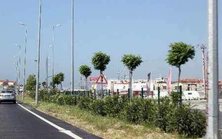 Edremit’te hırsızlar refüjlerin tel örgülerine dadandı