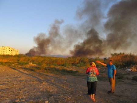 Edremit'te sazlık yangını evleri tehdit ediyor