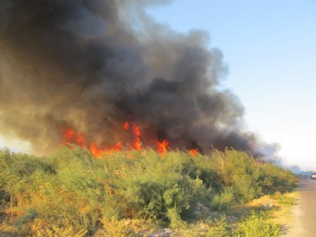 Edremit'te sazlık yangını evleri tehdit ediyor