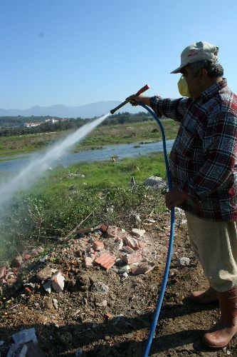 Edremit'te Sivrisinek Larva İlaçlamaları Devam Ediyor