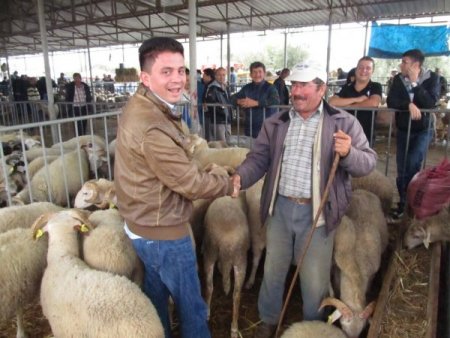 Edremit’teki kurbanlık pazarında arife günü hareketliliği yaşanıyor