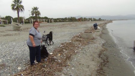 Edremit'teki lodos fırtınası dar gelirliye yaradı