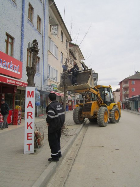 Eflani Belediyesi'nden ağaçlara bahar bakımı