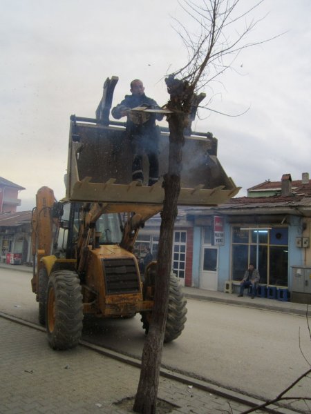 Eflani Belediyesi'nden ağaçlara bahar bakımı