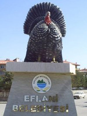 Eflani hindileri pazara indi