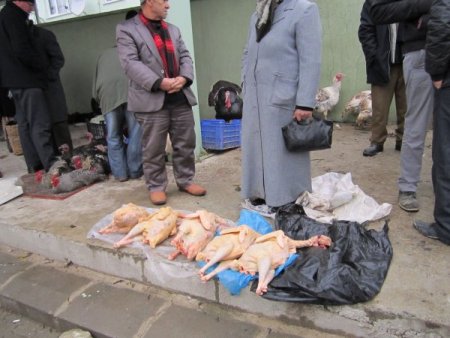 Eflani hindileri pazara indi