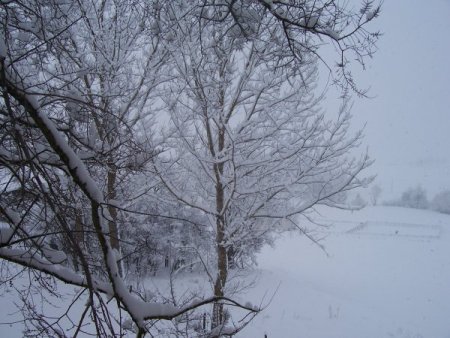 Eflani'de Dereceler Eksi 23 Dereceyi Gösterdi
