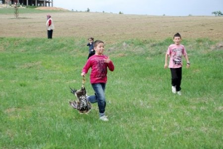 Eflani'de Hıdrellez bir gün önce kutlandı