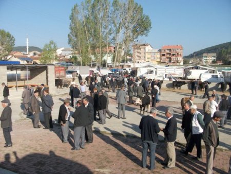 Eflani'de kurbanlıklar pazara indi