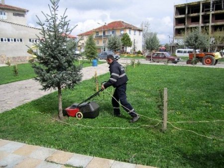 Eflani'de park, bahçe ve kaldırım kenarlarında ot biçme işlemleri başladı