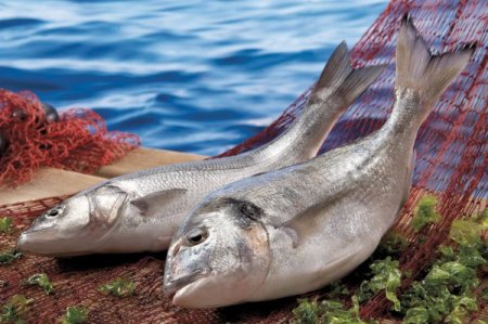 Ege Bölgesi Tarım Ürünleri İhracatı 3,5 Milyar Dolara Dayandı