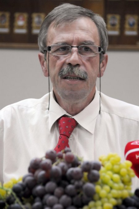 Ege Bölgesi’nin 2012 Yılı Üzüm Rekoltesi 247 Bin 500 Ton