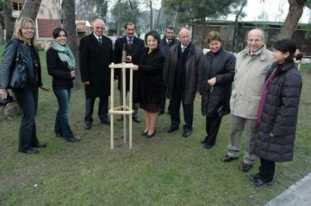 Ege Üniversitesi Kampüsü'nü Japon Kirazları Süsleyecek