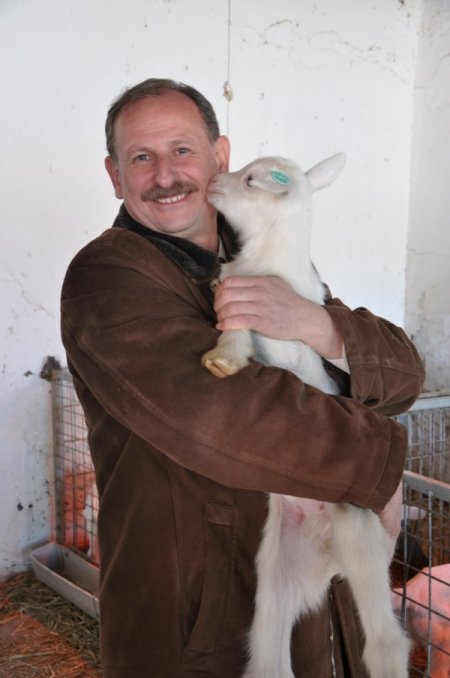 Ege Ziraat'te keçiler hem mevsiminde hem de mevsim dışı doğuruyor