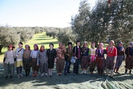 Egeli Zeytin Üreticileri Çin Ve Japon Alım Heyetlerini Ağırladı