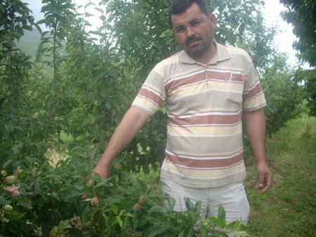 Eğirdir Ve Köylerinde Dolunun Tarım Alanlarına Verdiği Zarar Netleşiyor