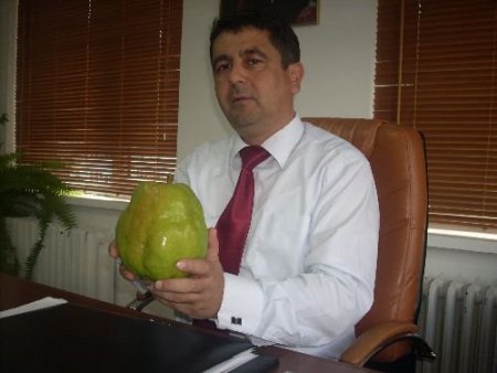 Eğirdir'de 1,5 Kiloluk Dev Armut Yetiştirildi