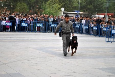Eğitilmiş polis köpekleri K-9'lar gösteri yaptı