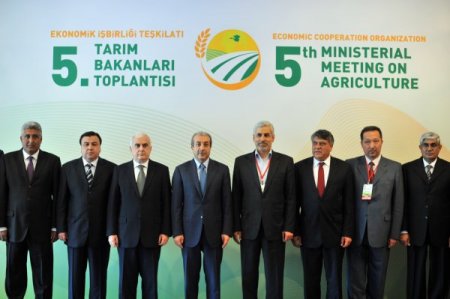 Eker: Dünyada tahıl üretimi yüzde 2,6, buğday üretimi yüzde 5,2 düştü