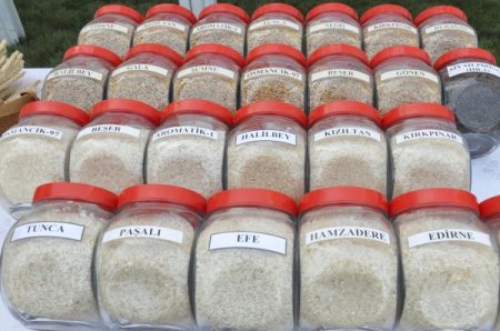 Eker: Geçmişte ithal ettiğimiz çeltik tohumunu şimdi ihraç ediyoruz