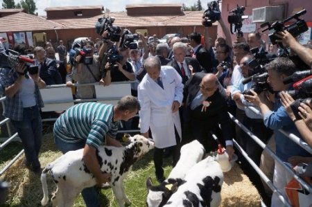 Eker: Süte verilen destek primi 9 kuruşa yükseltildi