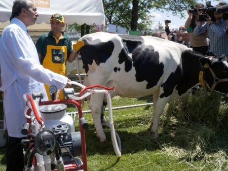 Eker: Süte verilen destek primi 9 kuruşa yükseltildi