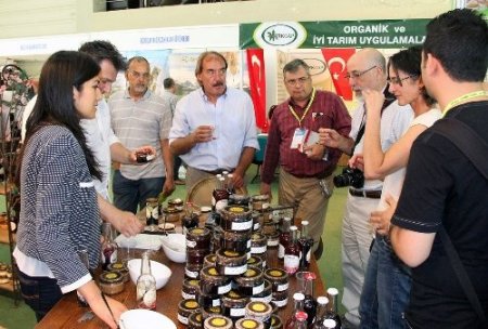 Ekoloji ve Olivtech fuarlarına 26 ülkeden ziyaretçi geldi