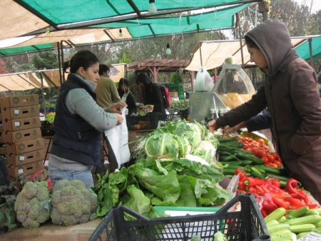 Ekolojik ürün yetiştiricileri, pozitif ayrım istiyor