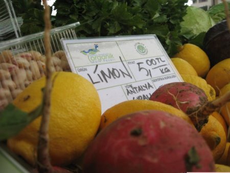 Ekolojik ürün yetiştiricileri, pozitif ayrım istiyor