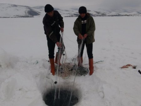 Eksi 15 derecede ‘Eskimo usulü’ balık avı