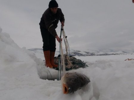 Eksi 15 derecede ‘Eskimo usulü’ balık avı