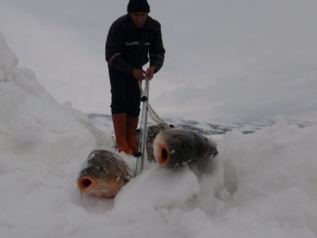 Eksi 15 derecede ‘Eskimo usulü’ balık avı
