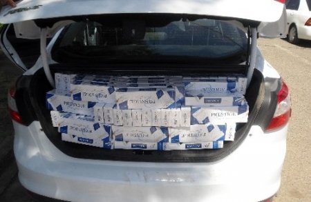 El altından satılan gümrük kaçağı sigaralardan böcek çıktı