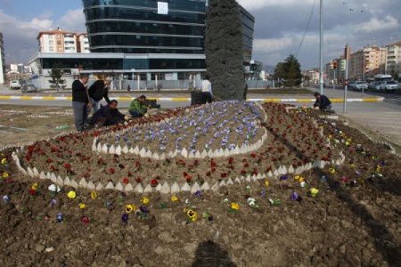 Elazığ menekşelerle renkleniyor