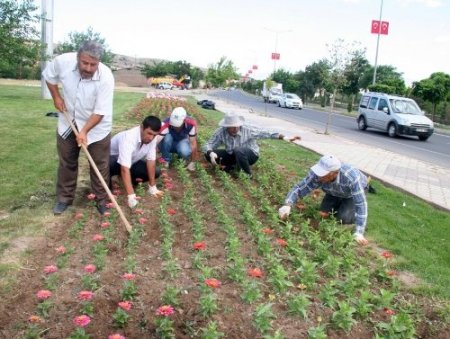 Elazığ'a 700 bin çiçek dikildi