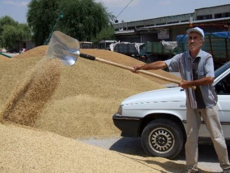 Elbistan Tüccarı Hububat Fiyatında Devleti Yakaladı