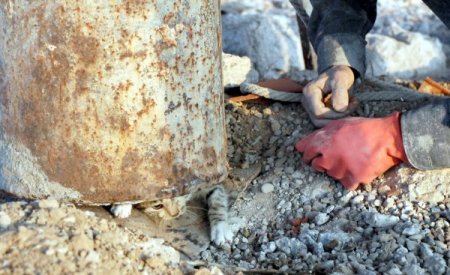 Elbistan'da borunun içine düşen yavru kedi, 6 gün aç - susuz kaldı