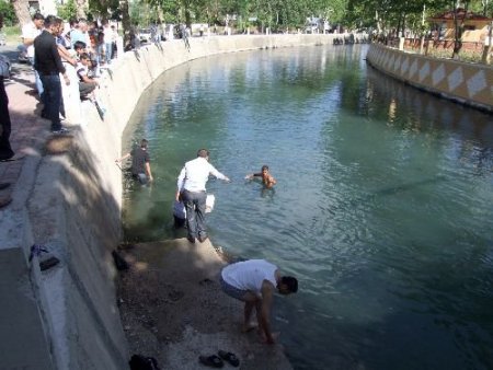 Elbistan'da Toplu Balık Ölümleri Paniğe Neden Oldu