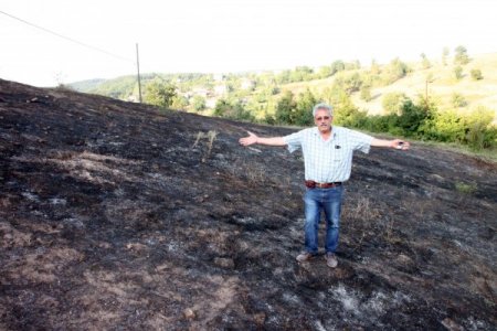 Elektrik Telleri Ağacı Tutuşturdu, 2 Dönümlük Alan Yandı