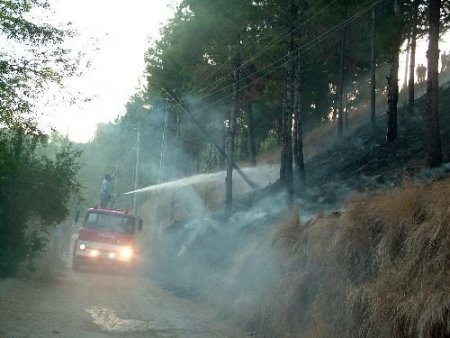 Elektrik Tellerinin Üzerine Devrilen Ağaç Yangın Çıkardı
