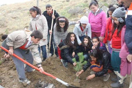 Elmadağ'da şenlik havasında fidan dikildi